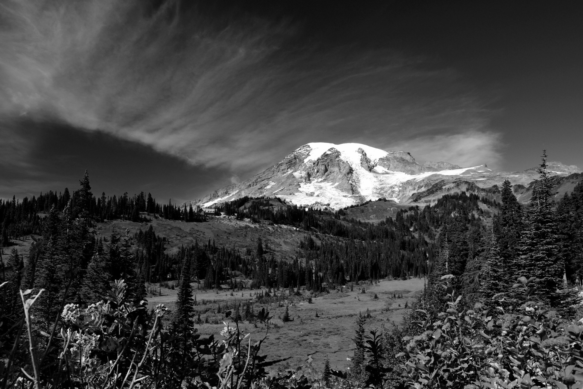 Snow-capped peak above a dark treeline, printed in high-contrast black and white